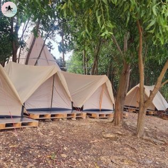Loại lều 3 